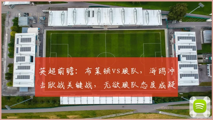 英超前瞻：布莱顿vs狼队，海鸥冲击欧战关键战，无欲狼队态度成疑