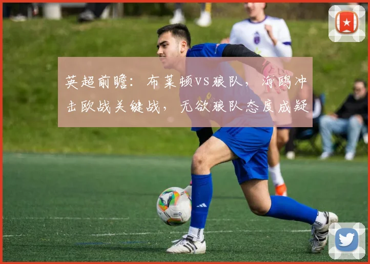 英超前瞻：布莱顿vs狼队，海鸥冲击欧战关键战，无欲狼队态度成疑