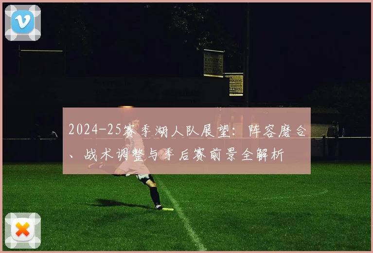2024-25赛季湖人队展望：阵容磨合、战术调整与季后赛前景全解析