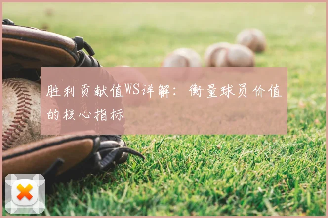 胜利贡献值WS详解：衡量球员价值的核心指标